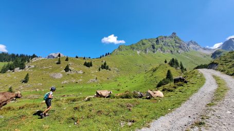 Junge läuft auf einem Wanderweg durch grüne Berglandschaft unter blauen Himmel.
