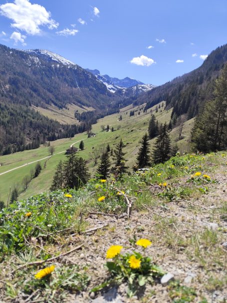 Blick auf ein grünes Tal mit Wildblumen, umgeben von Bergen und klarem Himmel.