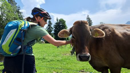 Eine Person streichelt eine Kuh auf einer Wiese bei sonnigem Wetter.