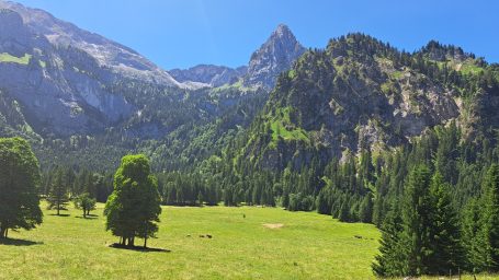 Grünes Tal mit hohen Bergen und strahlend blauem Himmel.