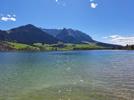 Idyllische Landschaft mit klarem See, umgeben von grünen Wiesen und Bergen im Hintergrund.