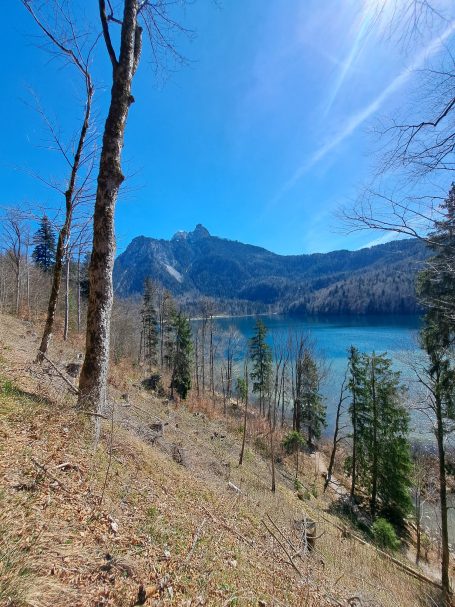 Bergblick über einen klaren See, umgeben von Bäumen und klarem Himmel.