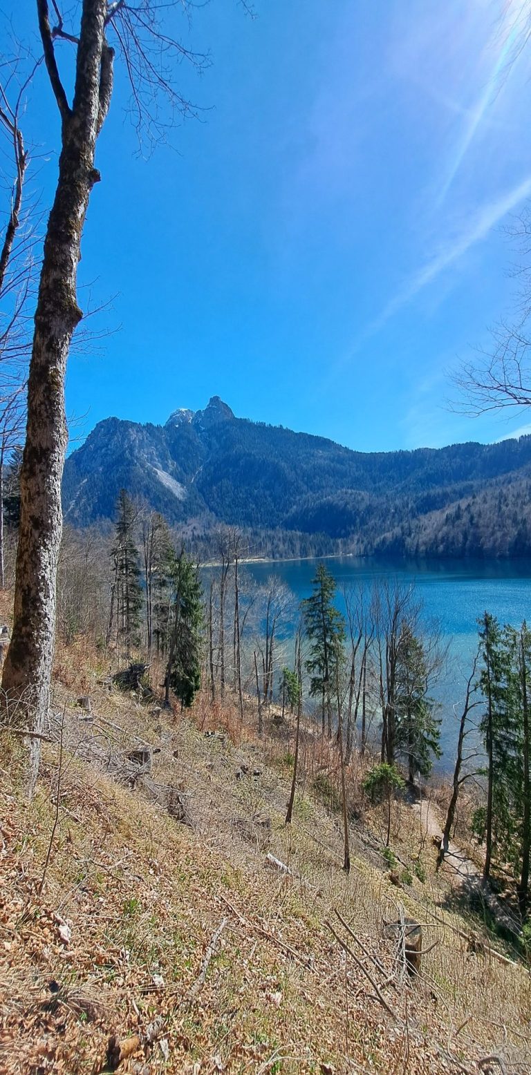Berglandschaft mit blauem Wasser und Bäumen am Ufer unter klarem Himmel.