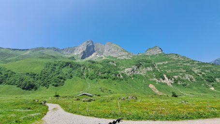 Berglandschaft mit grünen Wiesen und einem klaren blauen Himmel.